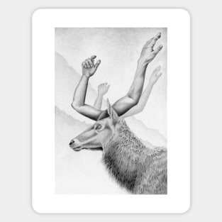 HANDsome Deer Graphite Pencil Drawing Sticker